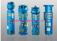 China Cast Iron Underwater Submersible Fountain Pumps For Water Fountains Flange Connect Submersible Type manufacturer