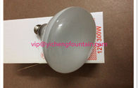 China E27 Screw 12V 300W Halogen Bulb Replacement For LED Underwater Pool Lights manufacturer